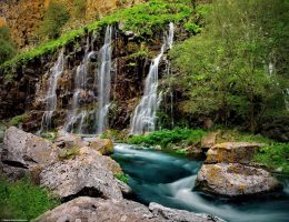 #1 Georgia Travel Guide & Trip Planner