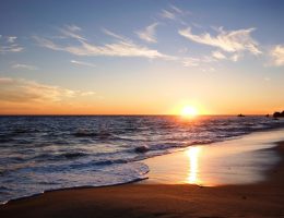 #1 Georgia Travel Guide & Trip Planner