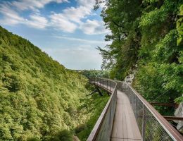 #1 Georgia Travel Guide & Trip Planner