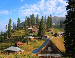 #1 Georgia Travel Guide & Trip Planner