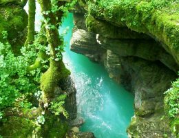 #1 Georgia Travel Guide & Trip Planner