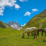 #1 Georgia Travel Guide & Trip Planner