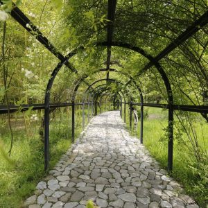 #1 Georgia Travel Guide & Trip Planner