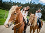 #1 Georgia Travel Guide & Trip Planner